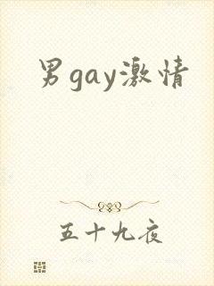 男gay激情