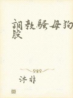 调教骚母狗打屁股