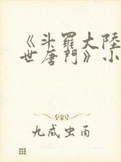 《斗罗大陆2绝世唐门》小说