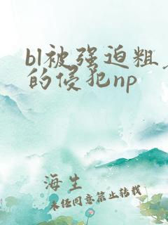 bl被强迫粗暴的侵犯np