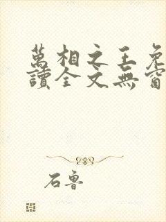 万相之王免费阅读全文无窗口