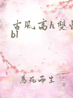 古风高h双性受bl