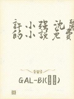 许小强 沈丽娟的小说免费阅读