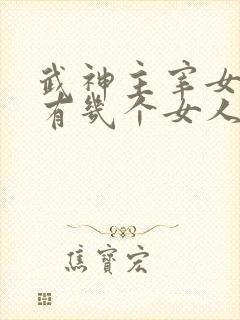 武神主宰女主角有几个女人