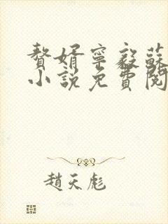 赘婿宁毅苏檀儿小说免费阅读完整