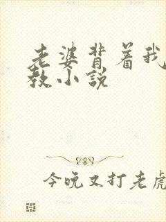 老婆背着我被调教小说