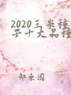 2020玉米种子十大品种