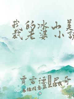 我的冰山美女总裁老婆 小说