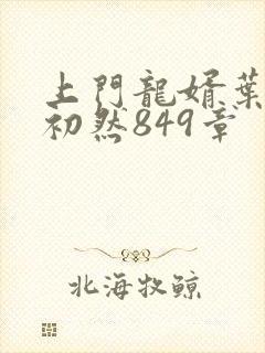 上门龙婿叶辰萧初然849章