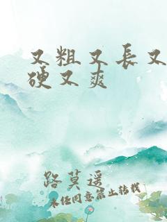 又粗又长又大又硬又爽