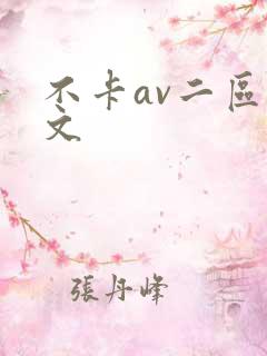 不卡av二区中文