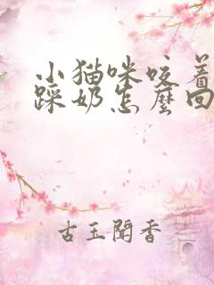 小猫咪咬着被子踩奶怎么回事