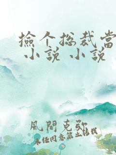 捡个总裁当老婆 小说 小说