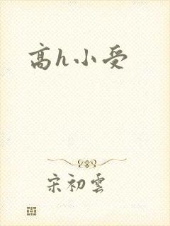 高h小受