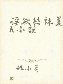 淫欲丝袜美腿高h小说