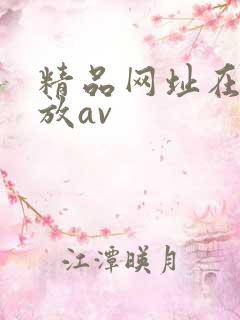 精品网址在线播放av