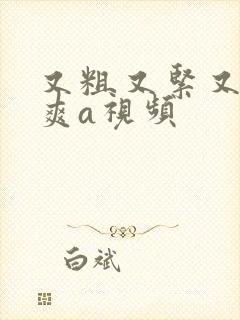 又粗又紧又湿又爽a视频