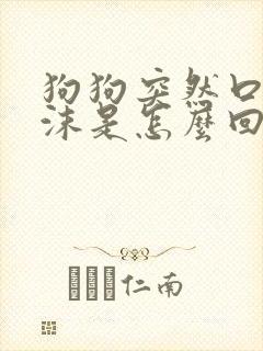 狗狗突然口吐白沫是怎么回事