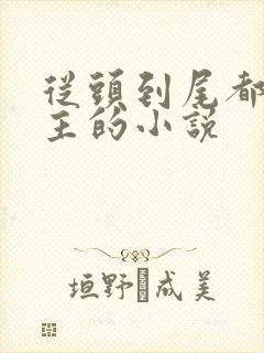 从头到尾都虐男主的小说