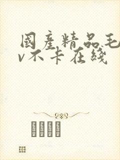 国产精品毛片av不卡在线