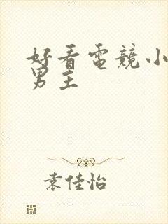 好看电竞小说双男主