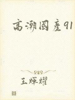 高潮国产91