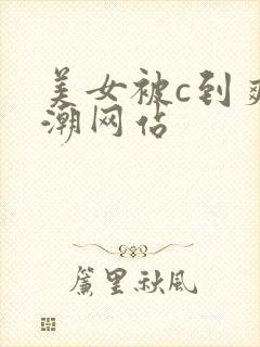 美女被c到爽高潮网站