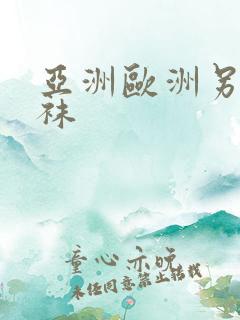 亚洲欧洲另类丝袜