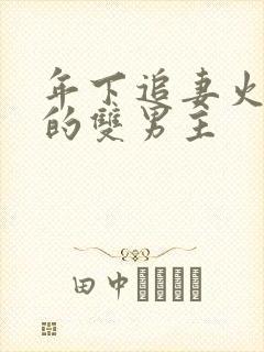 年下追妻火葬场的双男主