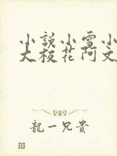 小说小雪小柔两大校花阿文
