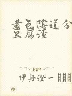 黄色阴道分泌物豆腐渣