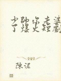 少帅你老婆又跑了爆火短剧