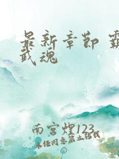 最新章节 霸天武魂