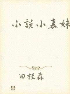 小说小表妹