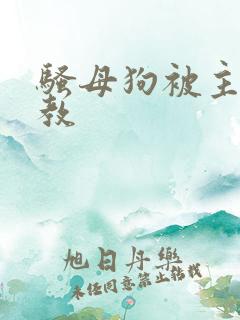 骚母狗被主人调教