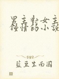 男主对女主一见钟情的小说校园文