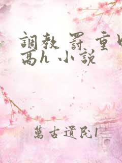 调教 罚 重口高h 小说