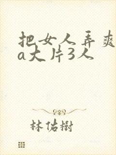 把女人弄爽特黄a大片3人