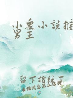 小众小说推荐双男主