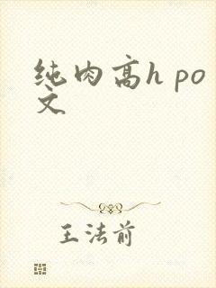 纯肉高h po文