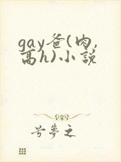gay爸(肉,高h)小说