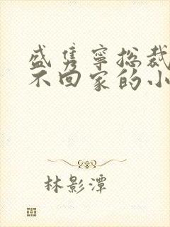 盛隽宁总裁婚后不回家的小说