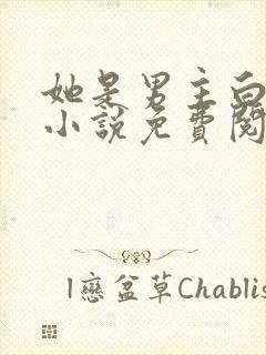 她是男主白月光小说免费阅读全文