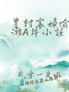 农村寡妇偷人高潮A片小说