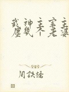 武神主宰主角秦尘几个老婆