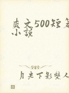 爽文500短篇小说