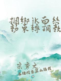 捆绑jk白丝震动束缚调教小姐姐口球