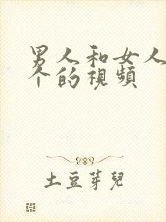 男人和女人弄那个的视频