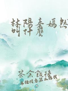 林阳秦嫣然小说叫什么