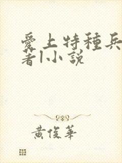 爱上特种兵 原著l小说